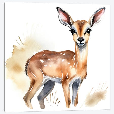 Cute Baby Impala Canvas Print #SMZ260} by Susan Richey Canvas Artwork