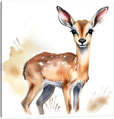 Cute Baby Impala Canvas Art Print - Susan Richey