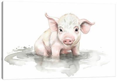 Cute Baby Piglette Canvas Art Print - Pig Art
