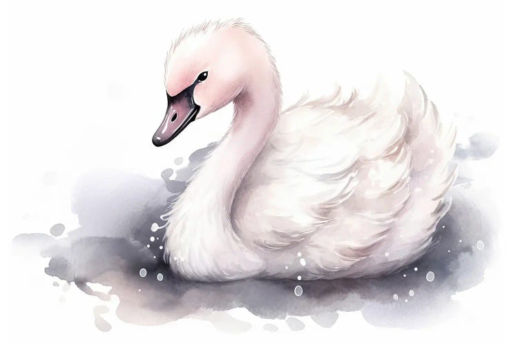 Cute Baby Swan