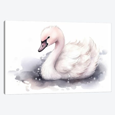 Cute Baby Swan Canvas Print #SMZ264} by Susan Richey Art Print