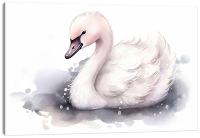 Cute Baby Swan Canvas Art Print - Swan Art