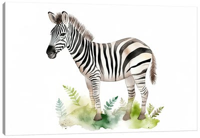Cute Baby Zebra Calf Canvas Art Print - Zebra Art