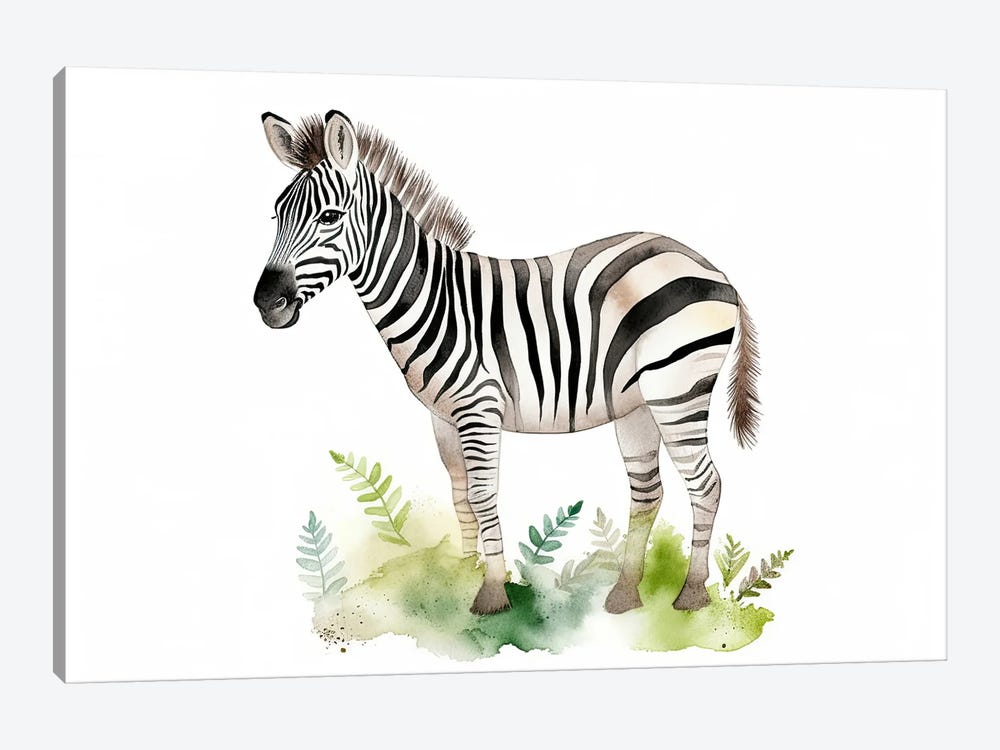 Cute Baby Zebra Calf by Susan Richey 1-piece Canvas Art Print