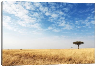 Cut Grass Road In Open Kenya Field Canvas Art Print - Susan Richey