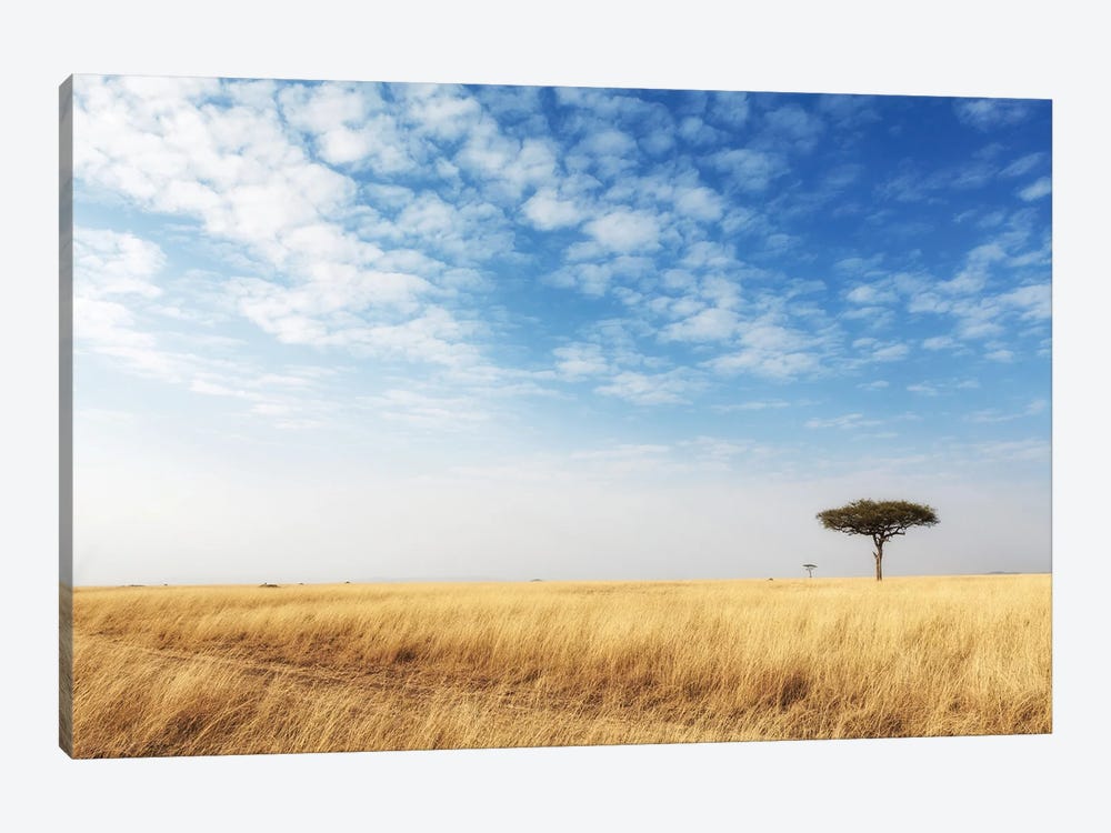 Cut Grass Road In Open Kenya Field by Susan Richey 1-piece Art Print