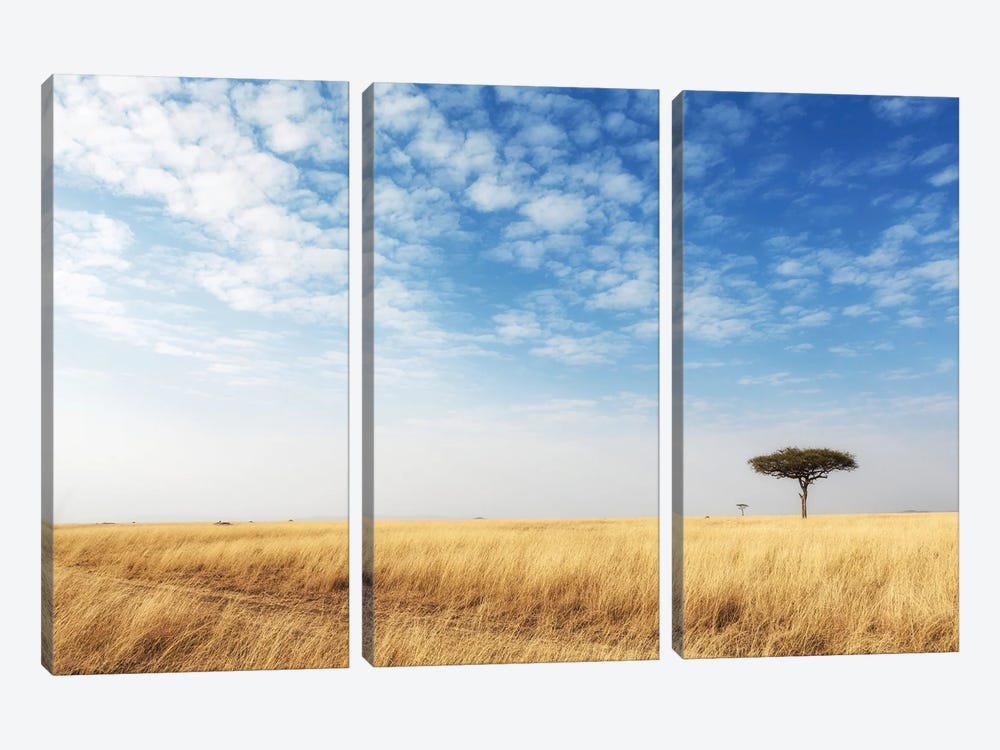 Cut Grass Road In Open Kenya Field by Susan Richey 3-piece Canvas Print
