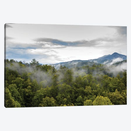 Great Smoky Mountains National Park Canvas Print #SMZ275} by Susan Richey Canvas Wall Art