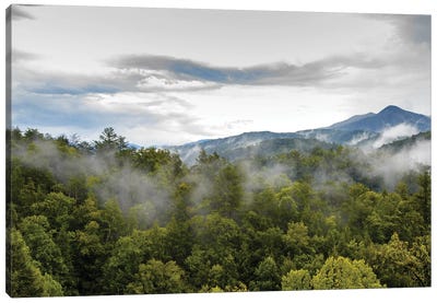 Great Smoky Mountains National Park Canvas Art Print - Susan Richey