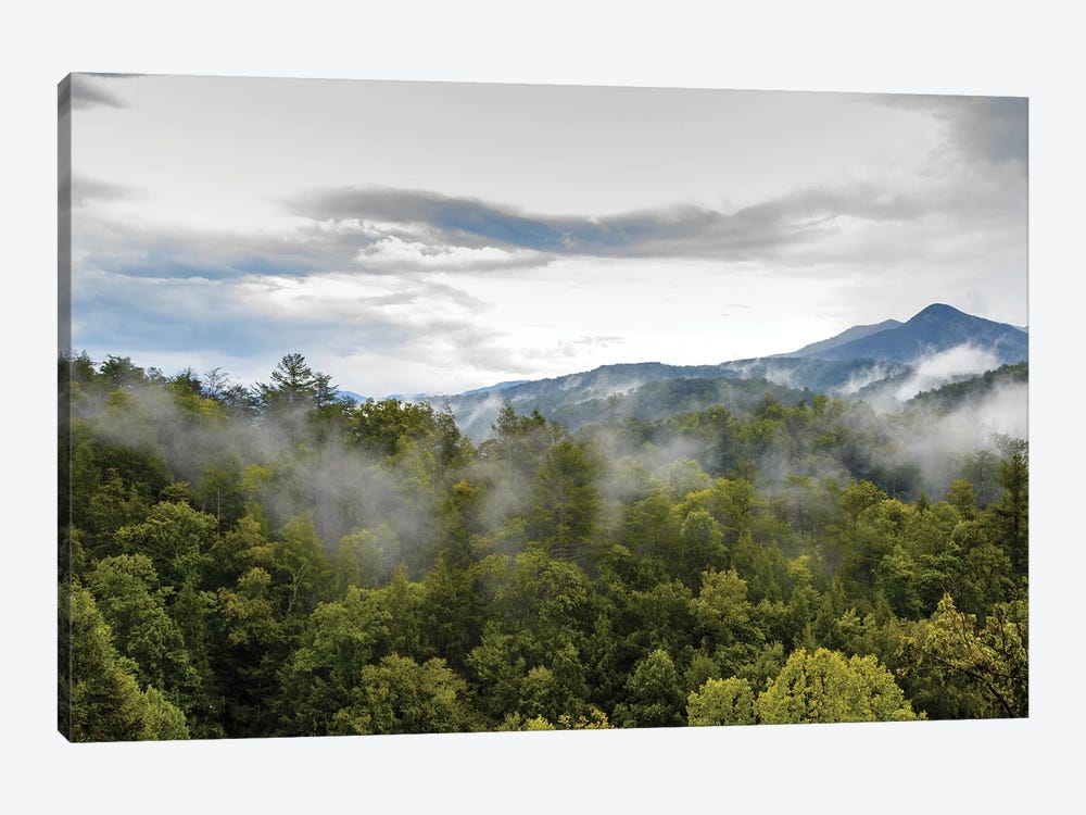 Great Smoky Mountains National Park by Susan Richey 1-piece Canvas Artwork