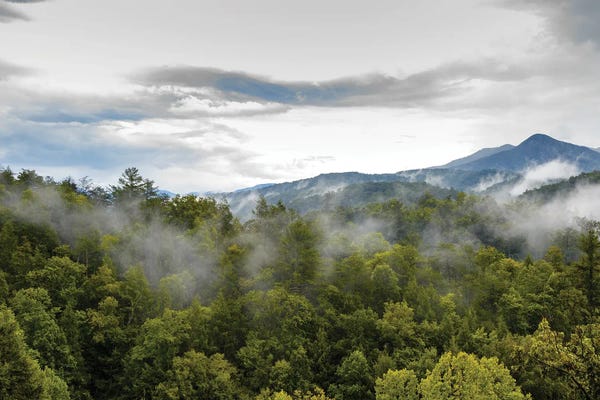 Giclee Features: Great Smoky Mountains National Park by Susan Richey