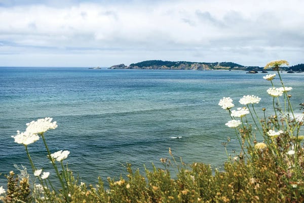 Susan Richey: Pacific Ocean Coastline In Oregon by Susan Richey