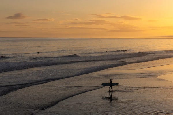 Susan Richey: Lone Surfer On Folly Beach South Caroline At Sunset by Susan Richey