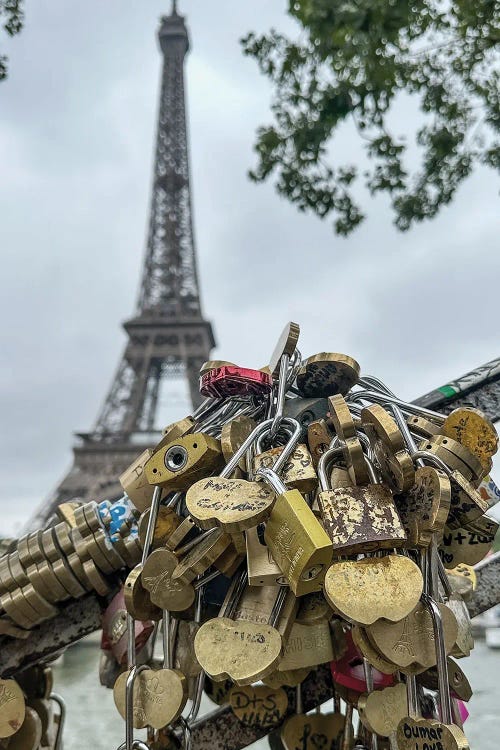 Love Locks At The Eiffel Tower by Susan Richey wall art