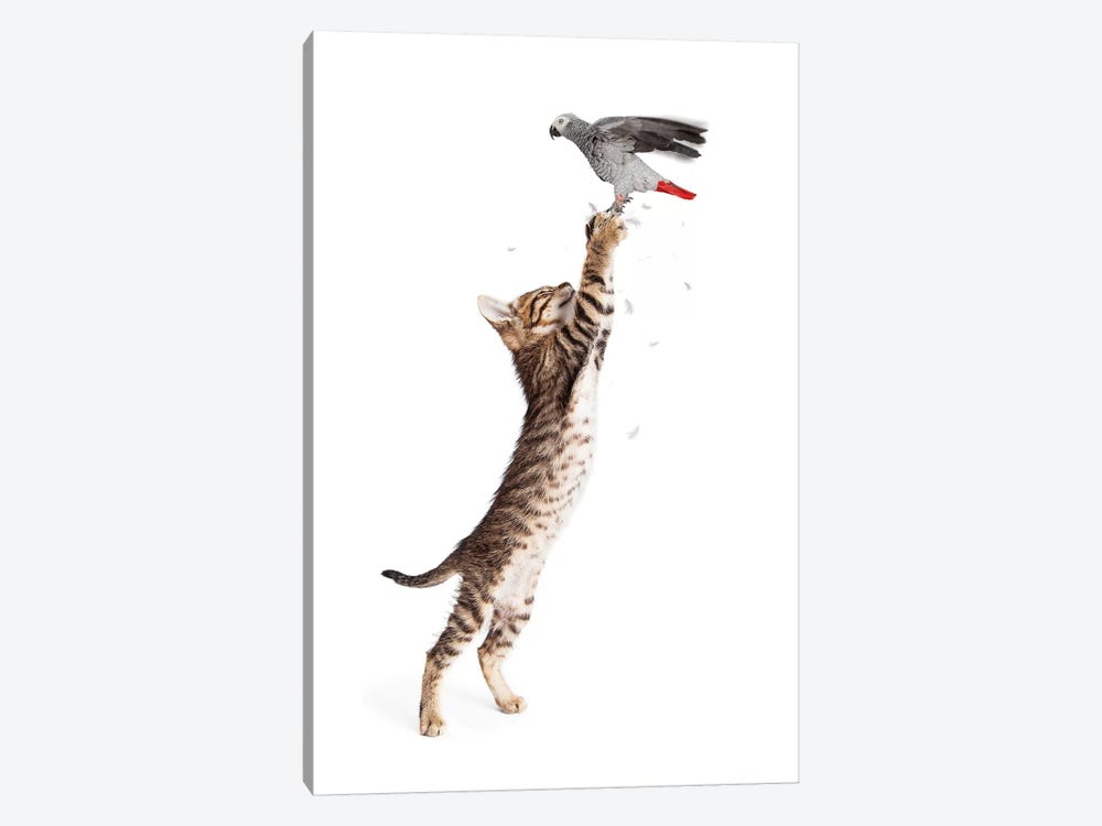 Cat Catching Bird In Flight by Susan Richey 1-piece Canvas Print