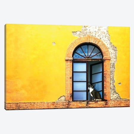 Cat In Window Of Old Building Canvas Print #SMZ35} by Susan Richey Canvas Artwork