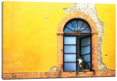 Cat In Window Of Old Building Canvas Art Print - Susan Richey