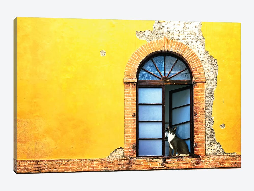 Cat In Window Of Old Building by Susan Richey 1-piece Canvas Artwork