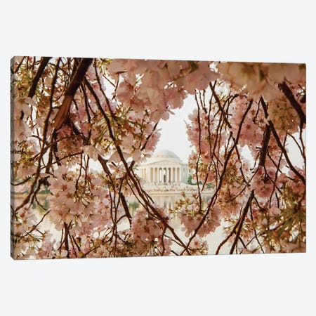 Cherry Blossom Flowers In Washington Dc Canvas Print #SMZ37} by Susan Richey Canvas Artwork