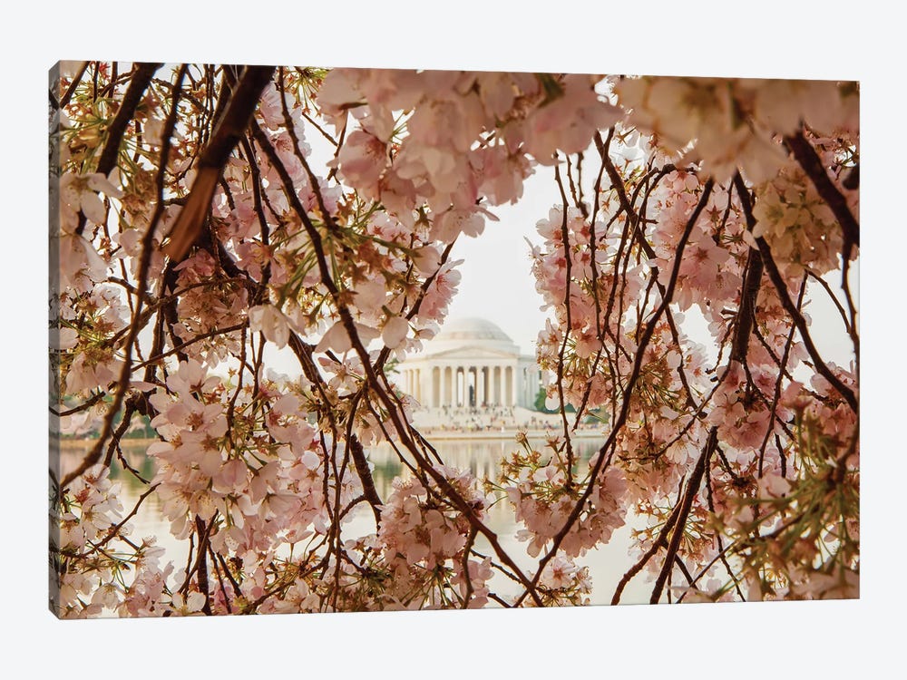 Cherry Blossom Flowers In Washington Dc by Susan Richey 1-piece Canvas Art