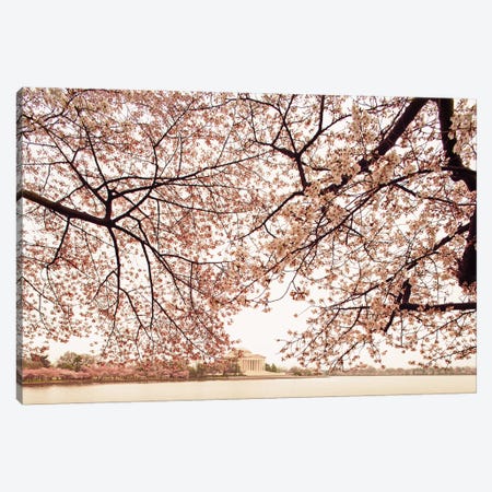 Cherry Blossom Trees And The Jefferson Memorial Canvas Print #SMZ38} by Susan Richey Art Print