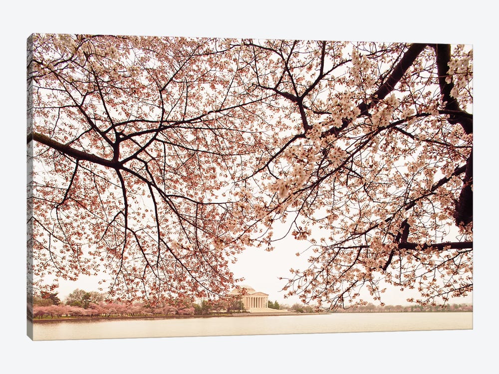 Cherry Blossom Trees And The Jefferson Memorial by Susan Richey 1-piece Art Print