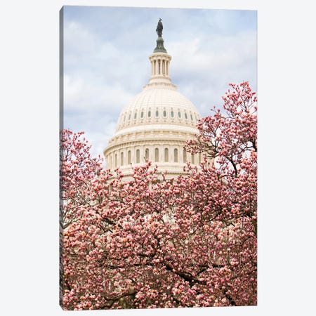 Cherry Blossoms At The Capitol Building Canvas Print #SMZ39} by Susan Richey Canvas Art Print