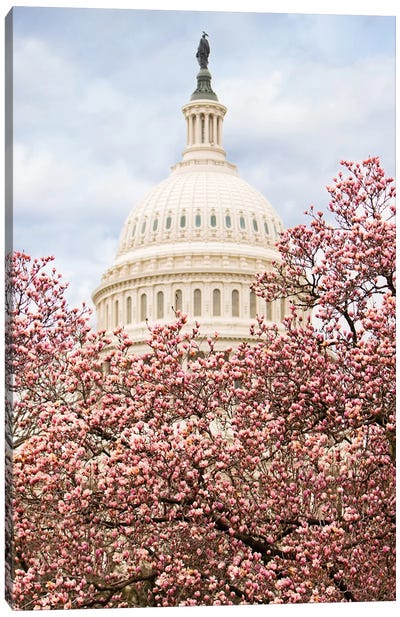 Cherry Blossoms At The Capitol Building Canvas Art Print - Cherry Blossom Art