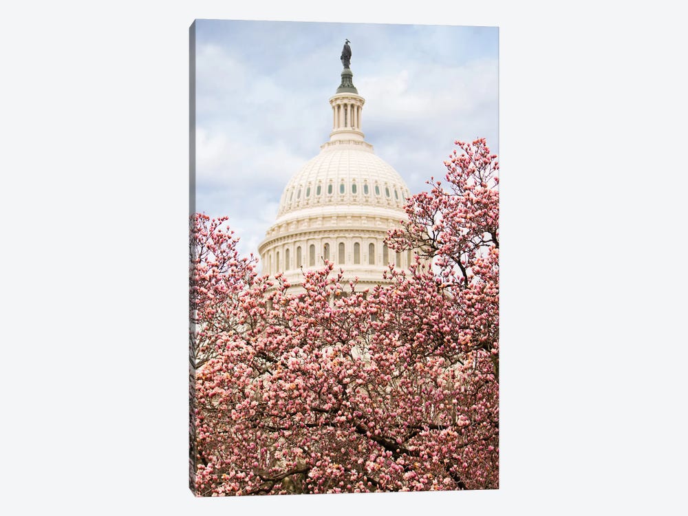 Cherry Blossoms At The Capitol Building by Susan Richey 1-piece Canvas Art