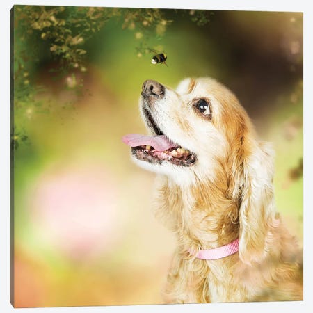 Cocker Spaniel Dog With Bee In Flowers Canvas Print #SMZ47} by Susan Richey Canvas Print