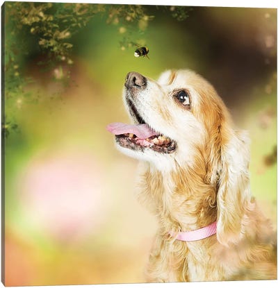 Cocker Spaniel Dog With Bee In Flowers Canvas Art Print - Susan Richey