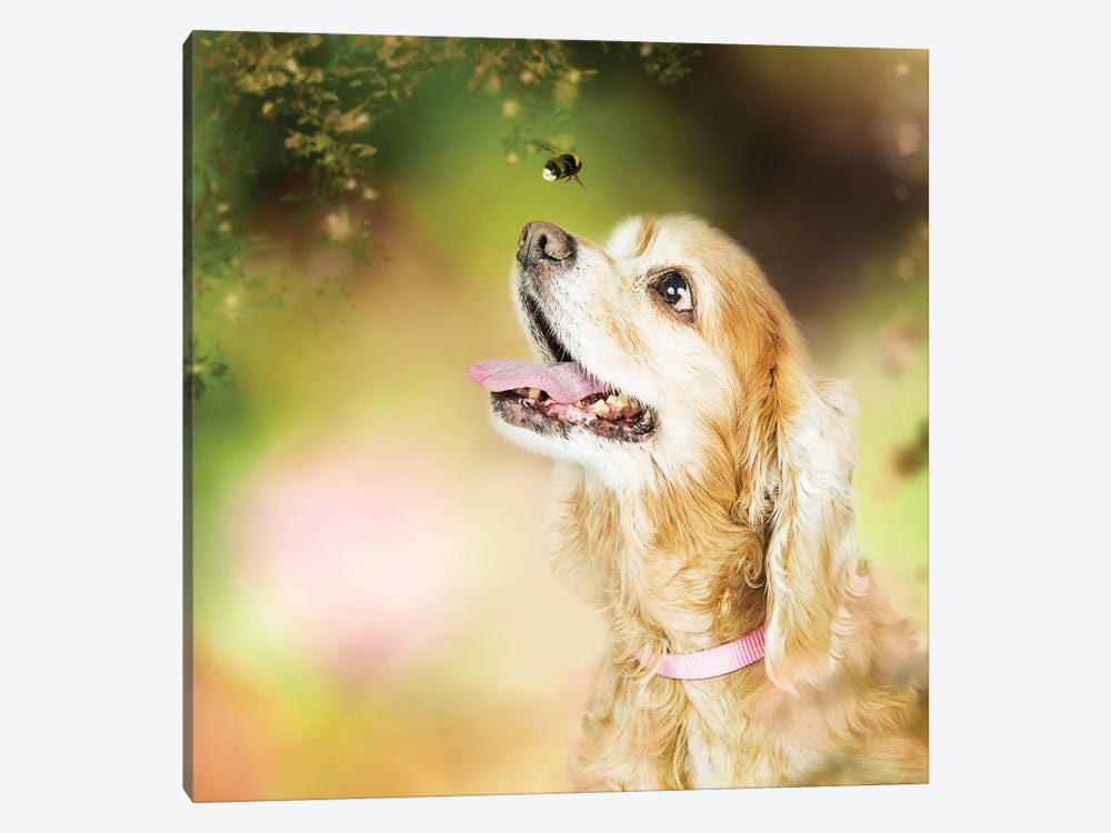 Cocker Spaniel Dog With Bee In Flowers by Susan Richey 1-piece Canvas Print