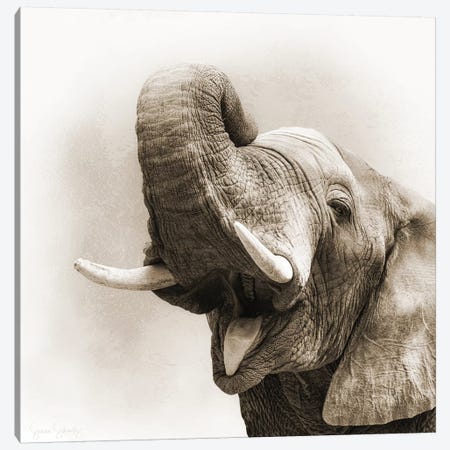 African Elephant Closeup Square Sepia Canvas Print #SMZ4} by Susan Schmitz Canvas Print