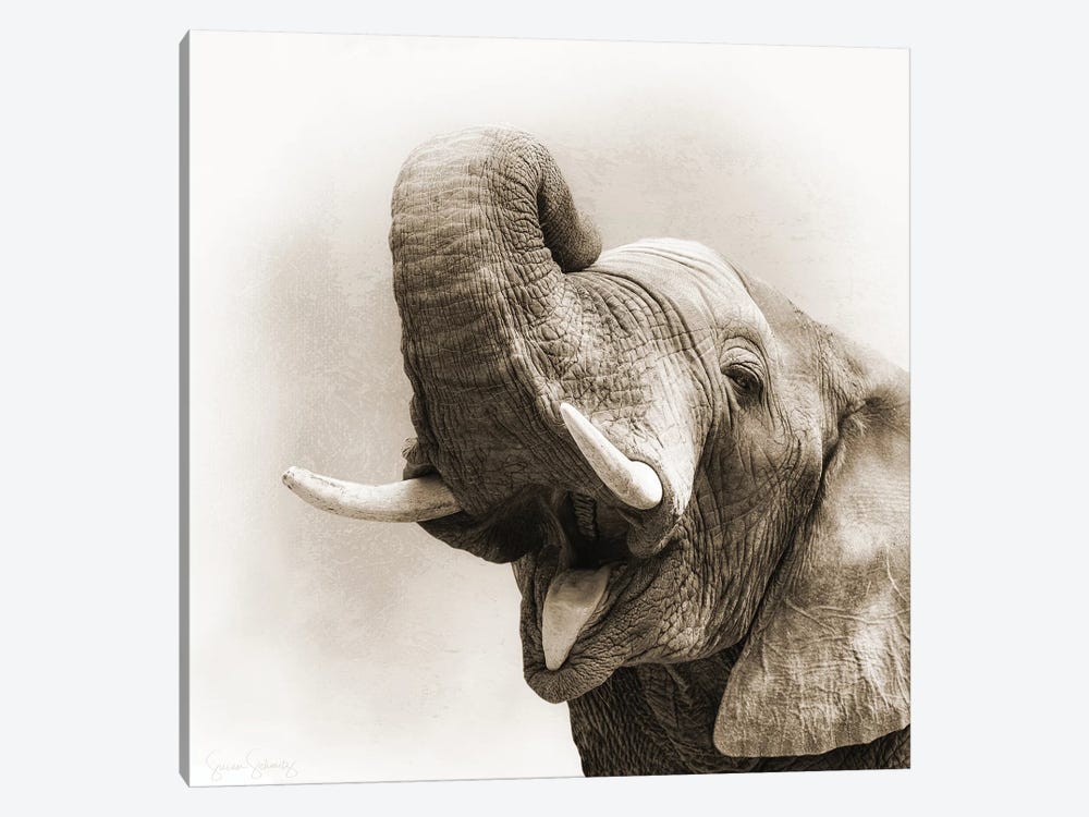 African Elephant Closeup Square Sepia by Susan Richey 1-piece Canvas Artwork