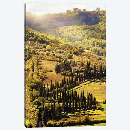 Countryside In Tuscany Italy With Cyprus Trees Canvas Print #SMZ50} by Susan Richey Art Print