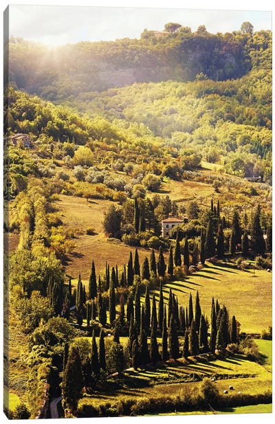 Countryside In Tuscany Italy With Cyprus Trees Canvas Art Print - Cypress Tree Art
