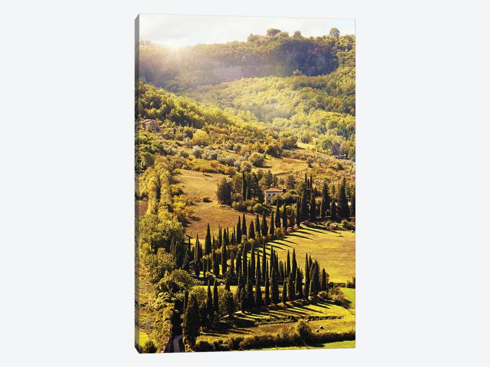 Countryside In Tuscany Italy With Cyprus Trees by Susan Richey 1-piece Canvas Print