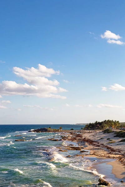 Mexico: Cozumel Mexico Sea Shoreline Vertical by Susan Richey