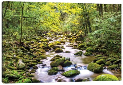 Creek Running Through Roaring Fork In Smoky Mountains Canvas Art Print - National Park Art