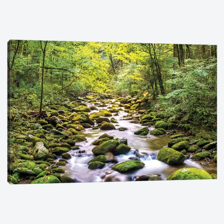 Creek Running Through Roaring Fork In Smoky Mountains Canvas Print #SMZ54} by Susan Richey Canvas Art