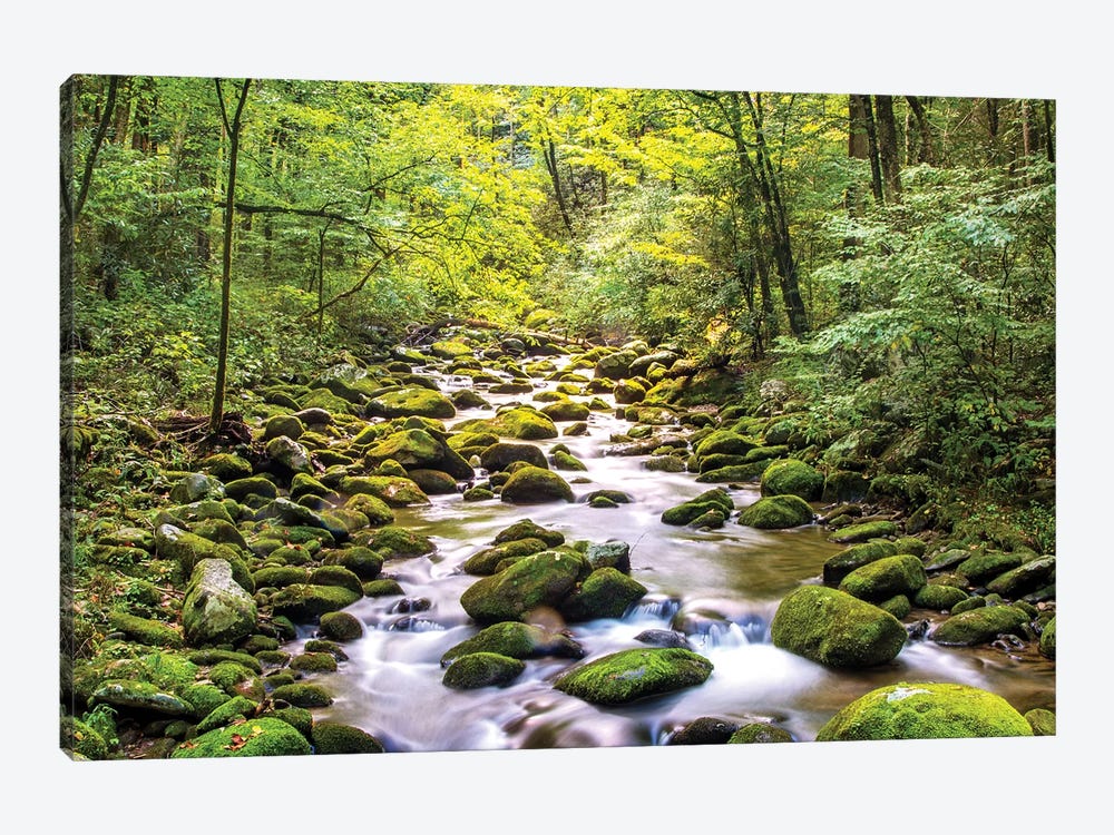 Creek Running Through Roaring Fork In Smoky Mountains by Susan Richey 1-piece Art Print