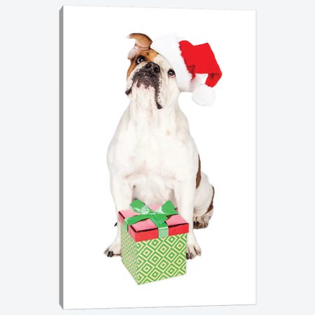 Cute Bulldog With Christmas Present Canvas Print #SMZ58} by Susan Schmitz Art Print