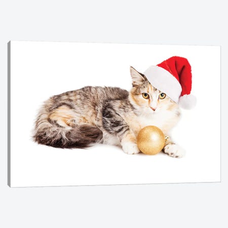 Cute Christmas Calico Kitten Canvas Print #SMZ59} by Susan Richey Canvas Art Print