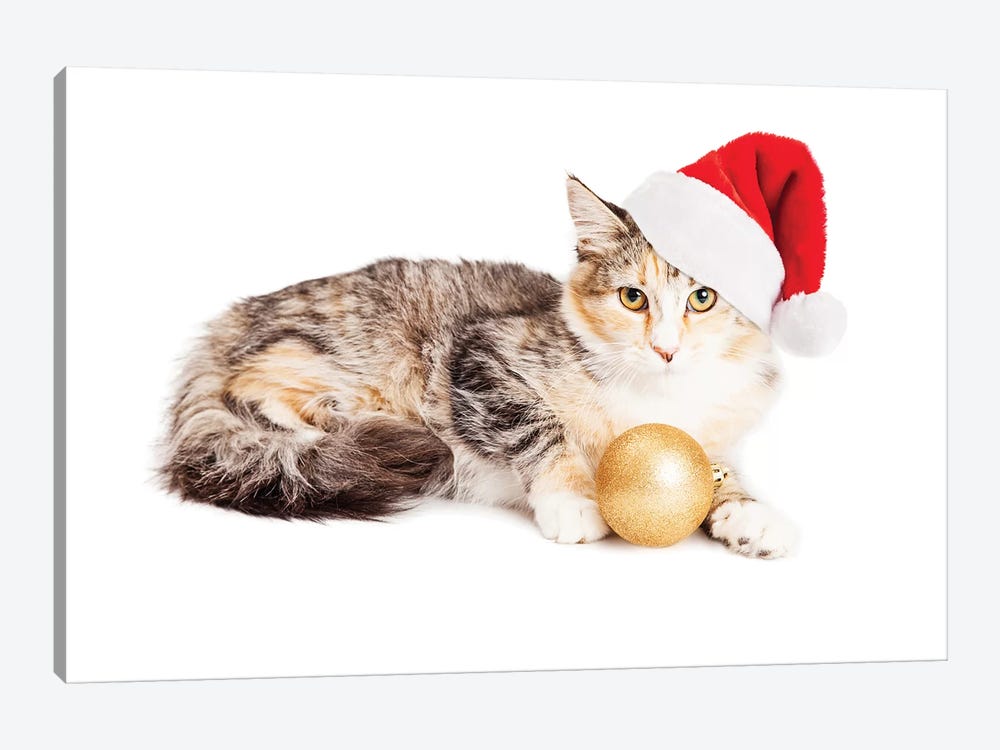 Cute Christmas Calico Kitten by Susan Richey 1-piece Canvas Wall Art