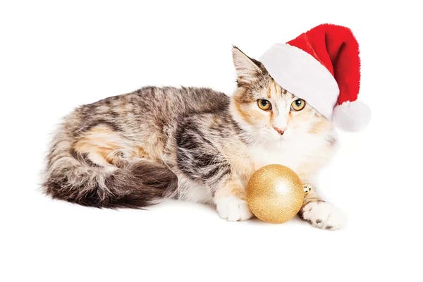 Susan Richey: Cute Christmas Calico Kitten by Susan Richey