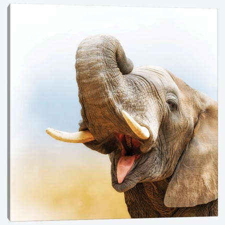 African Elephant Closeup With Pastel Background Canvas Print #SMZ5} by Susan Richey Canvas Art Print