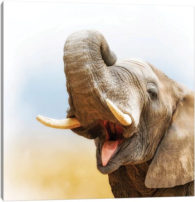 African Elephant Closeup With Pastel Background Canvas Art Print - Susan Richey