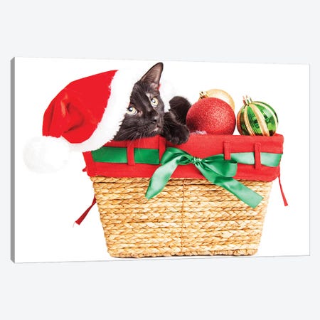 Cute Kitten In Christmas Basket Canvas Print #SMZ61} by Susan Schmitz Canvas Art