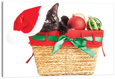 Cute Kitten In Christmas Basket Canvas Art Print - Susan Richey