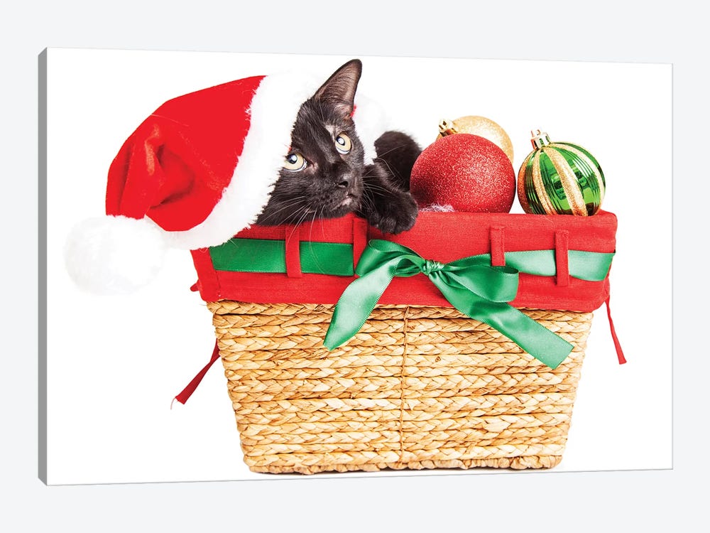 Cute Kitten In Christmas Basket by Susan Schmitz 1-piece Canvas Art Print
